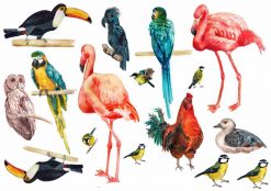 Fågeltatueringar, flamingo, papegoja, uggla